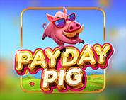 Payday Pig